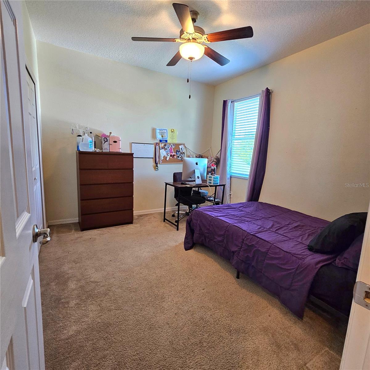 3301 BETHPAGE LOOP, MOUNT DORA, FL, 32757