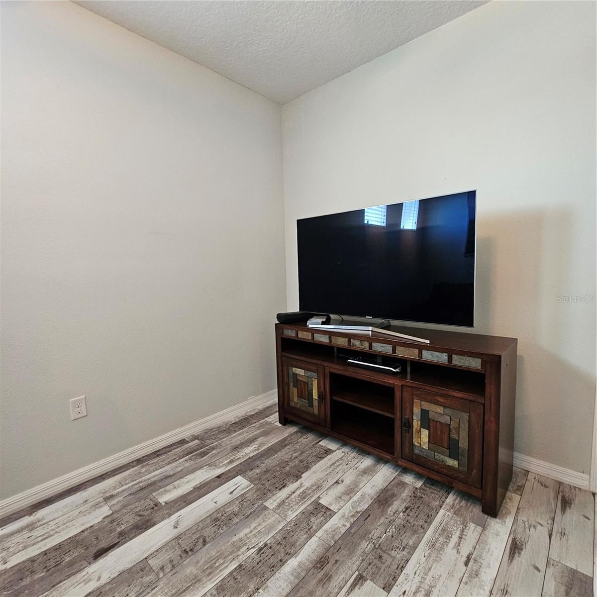 3301 BETHPAGE LOOP, MOUNT DORA, FL, 32757