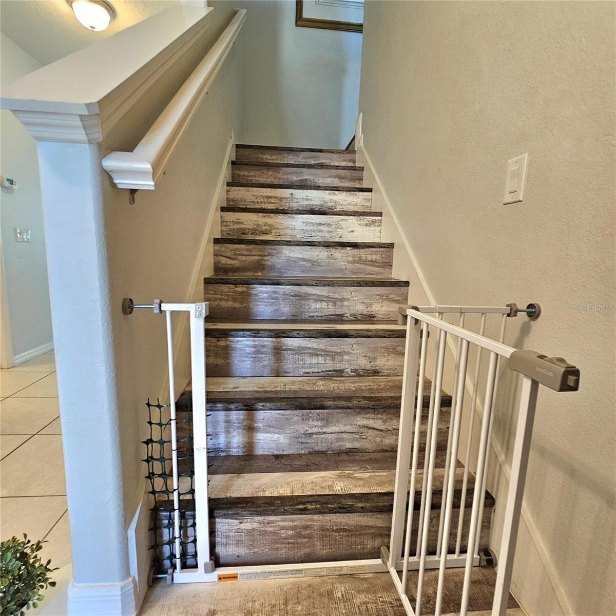 3301 BETHPAGE LOOP, MOUNT DORA, FL, 32757