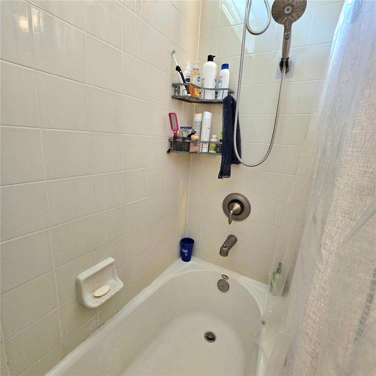 3301 BETHPAGE LOOP, MOUNT DORA, FL, 32757
