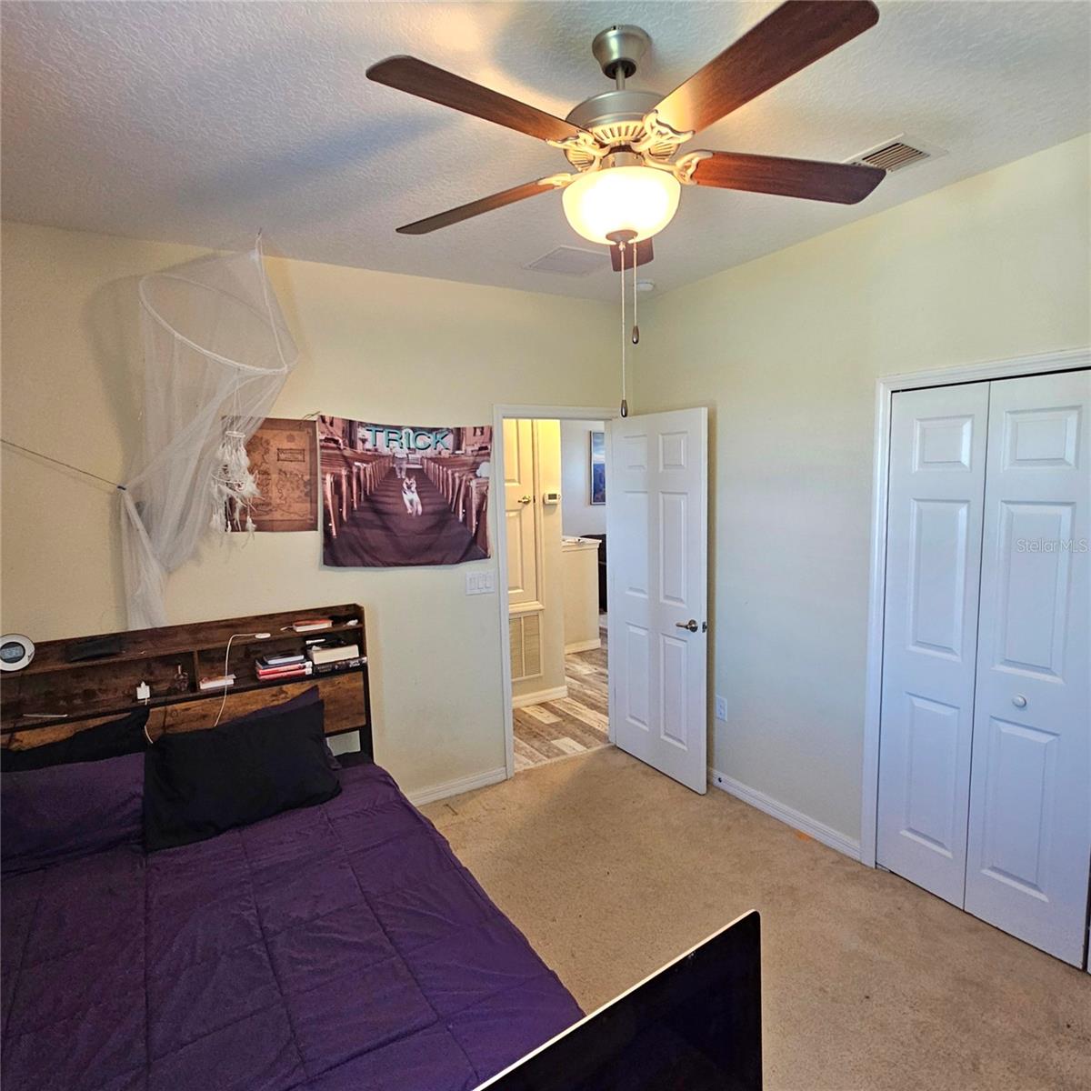 3301 BETHPAGE LOOP, MOUNT DORA, FL, 32757