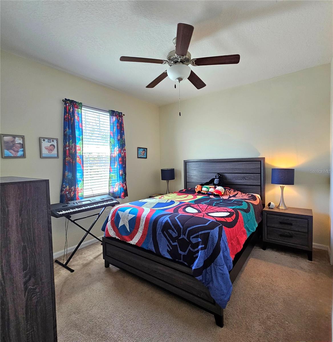 3301 BETHPAGE LOOP, MOUNT DORA, FL, 32757