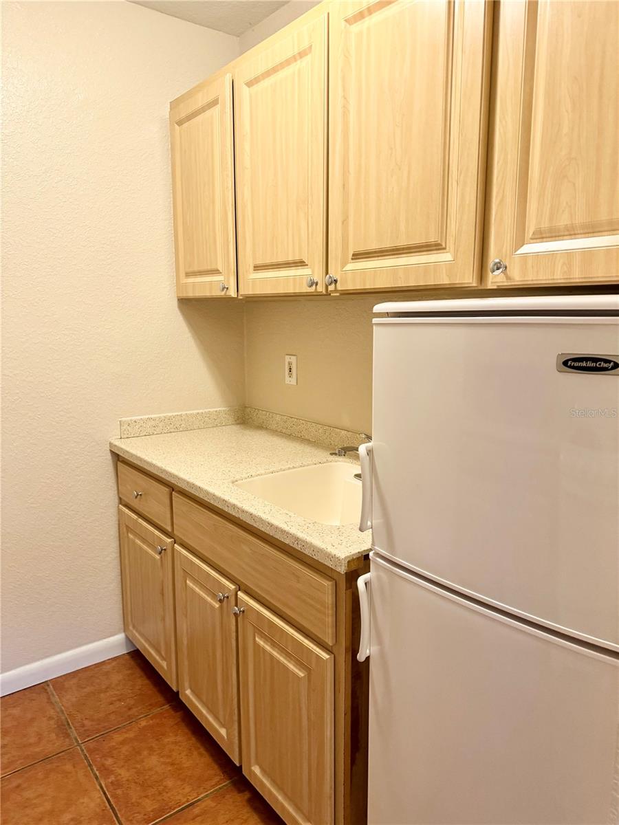 315 THORNTON LN #C, ORLANDO, FL, 32801