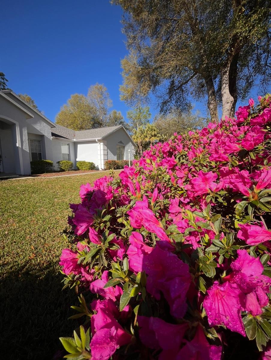9579 SW 195 CIR, DUNNELLON, FL, 34432