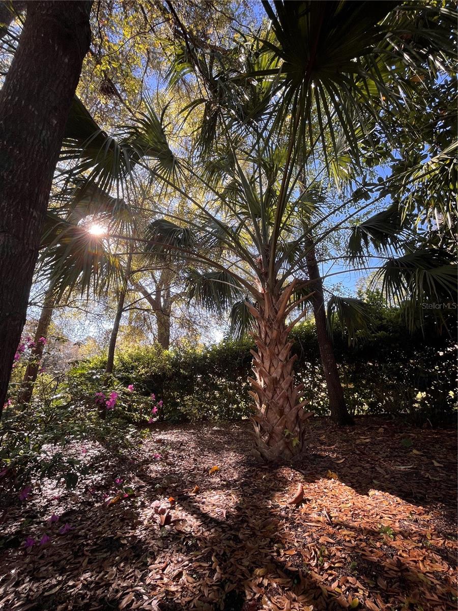 9579 SW 195 CIR, DUNNELLON, FL, 34432