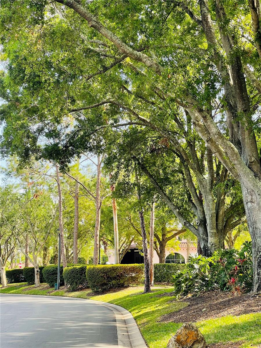 7629 CHAPELHILL DR, ORLANDO, FL, 32819