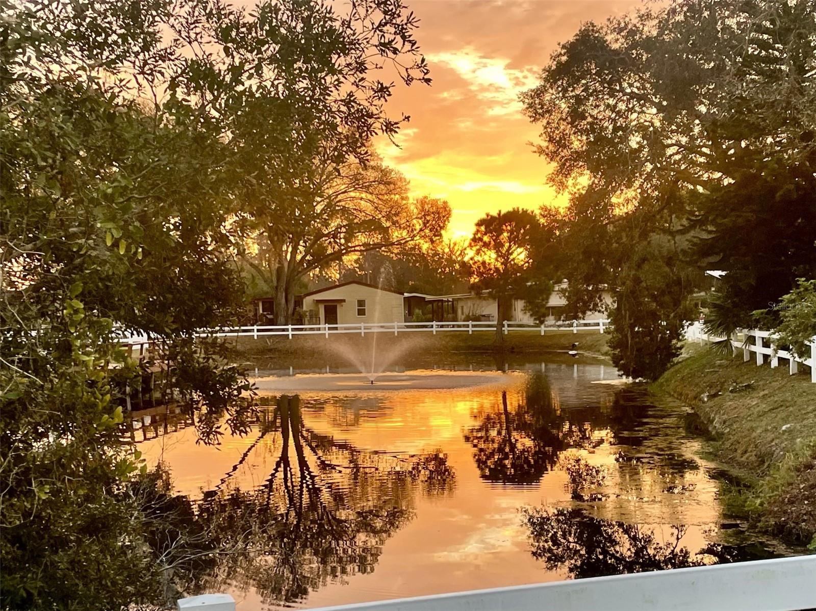 501 SANTA FE RD, TAVARES, FL, 32778