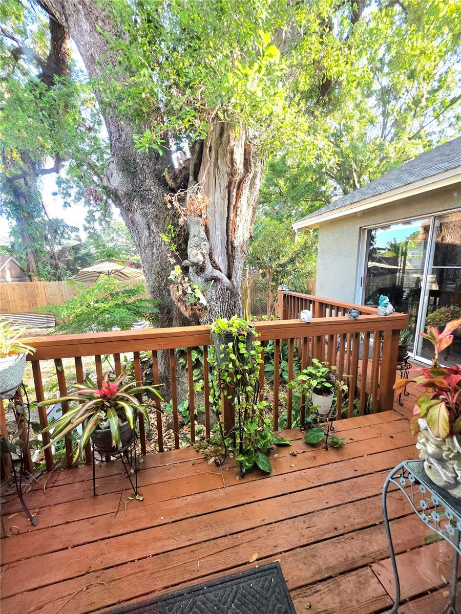 2114 W HANNA AVE, TAMPA, FL, 33604