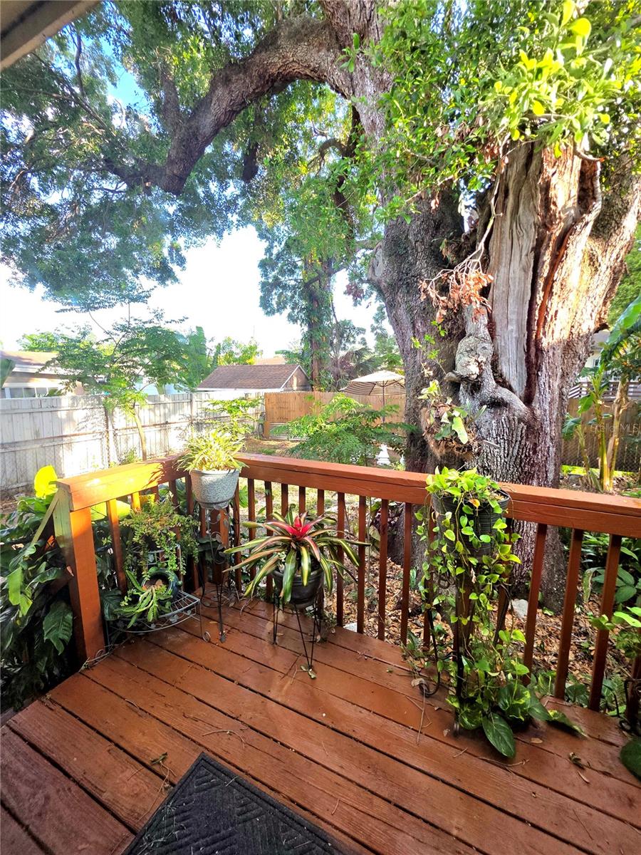 2114 W HANNA AVE, TAMPA, FL, 33604