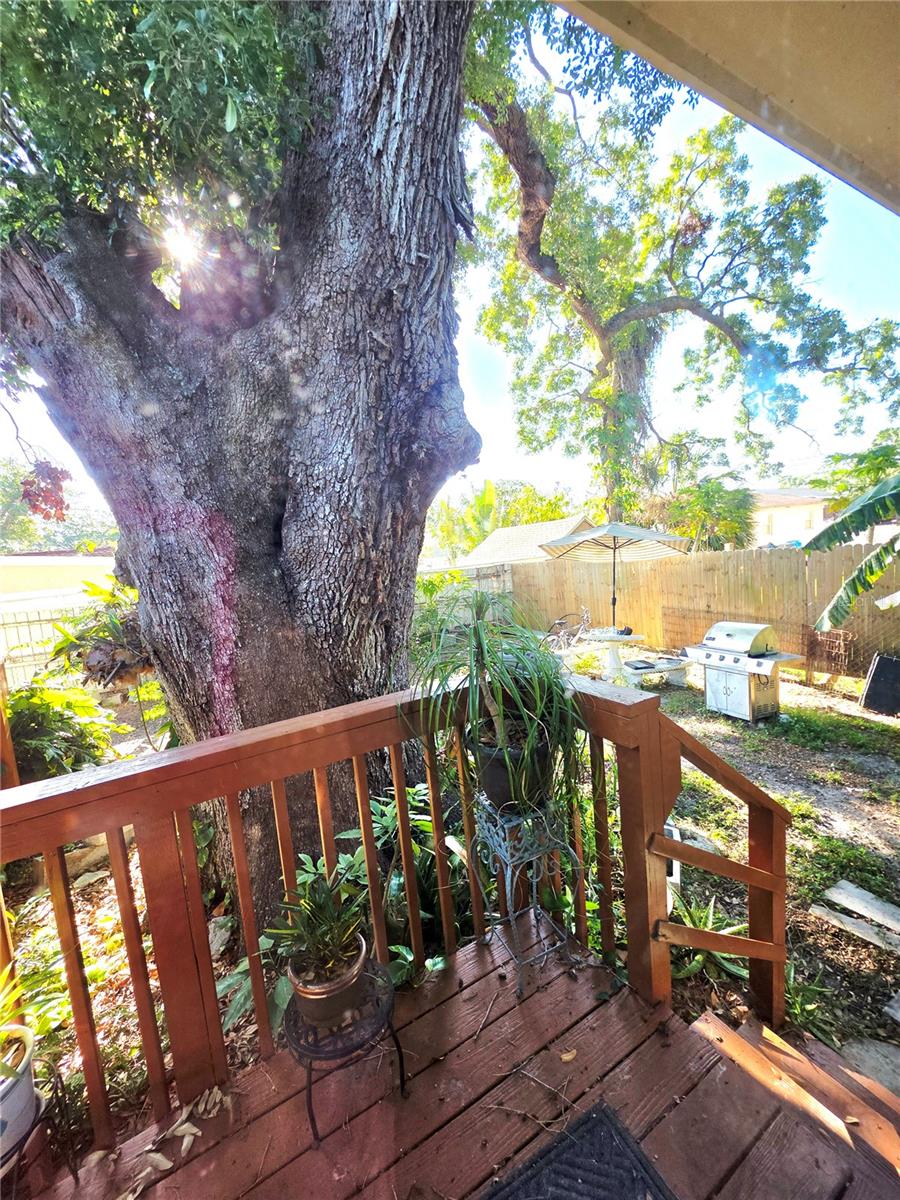 2114 W HANNA AVE, TAMPA, FL, 33604