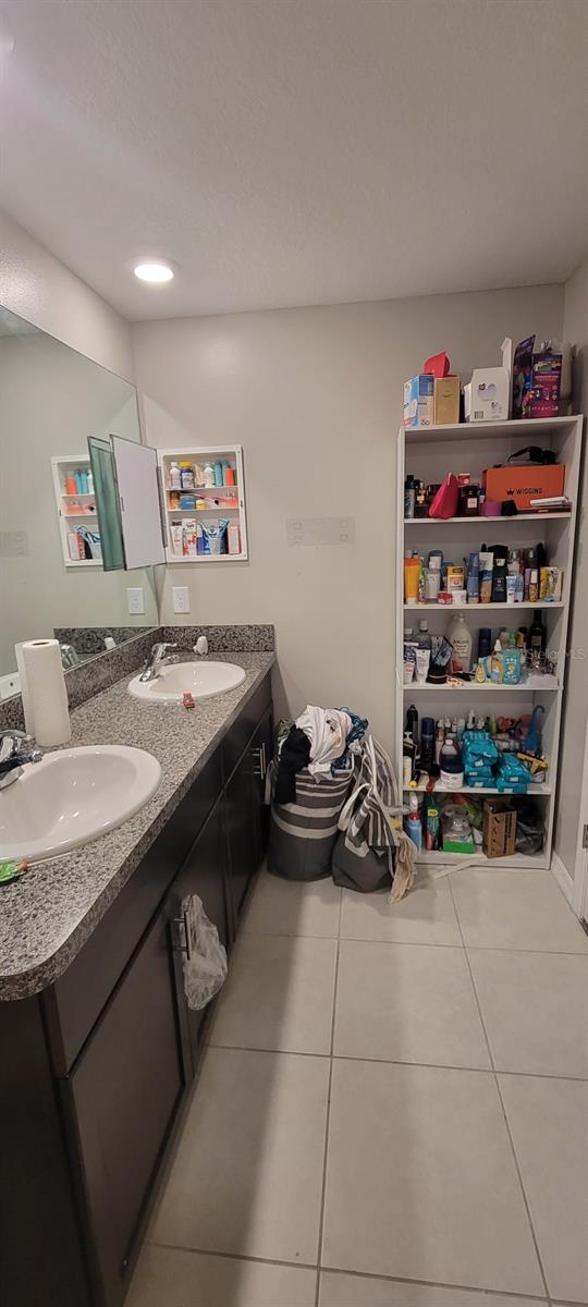 10462 SHADY PRESERVE DR, RIVERVIEW, FL, 33578