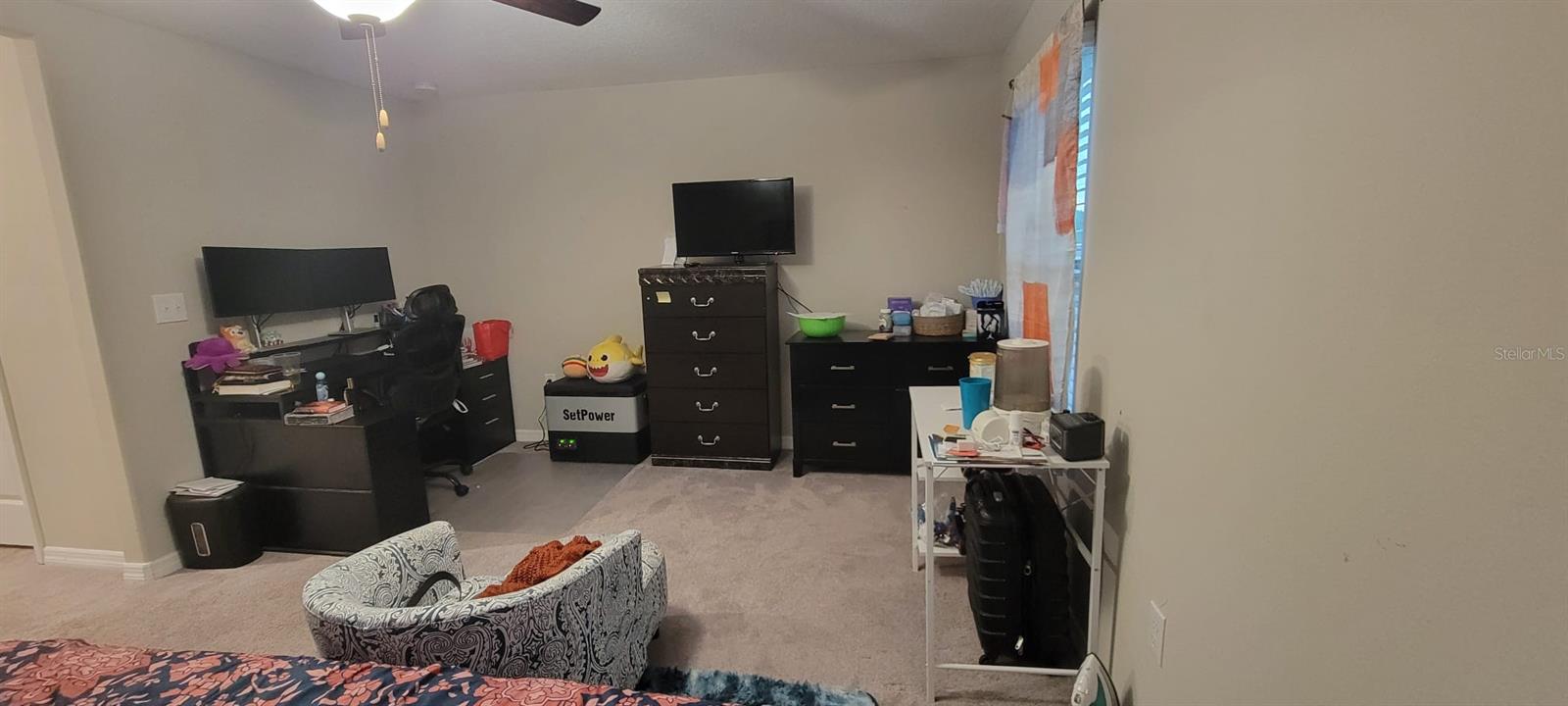 10462 SHADY PRESERVE DR, RIVERVIEW, FL, 33578