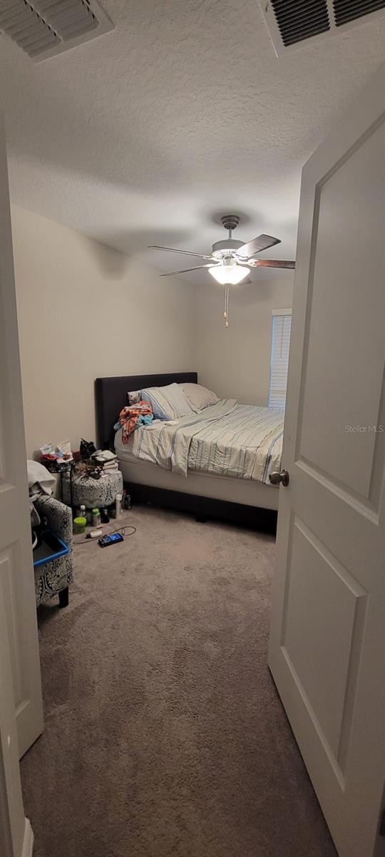 10462 SHADY PRESERVE DR, RIVERVIEW, FL, 33578