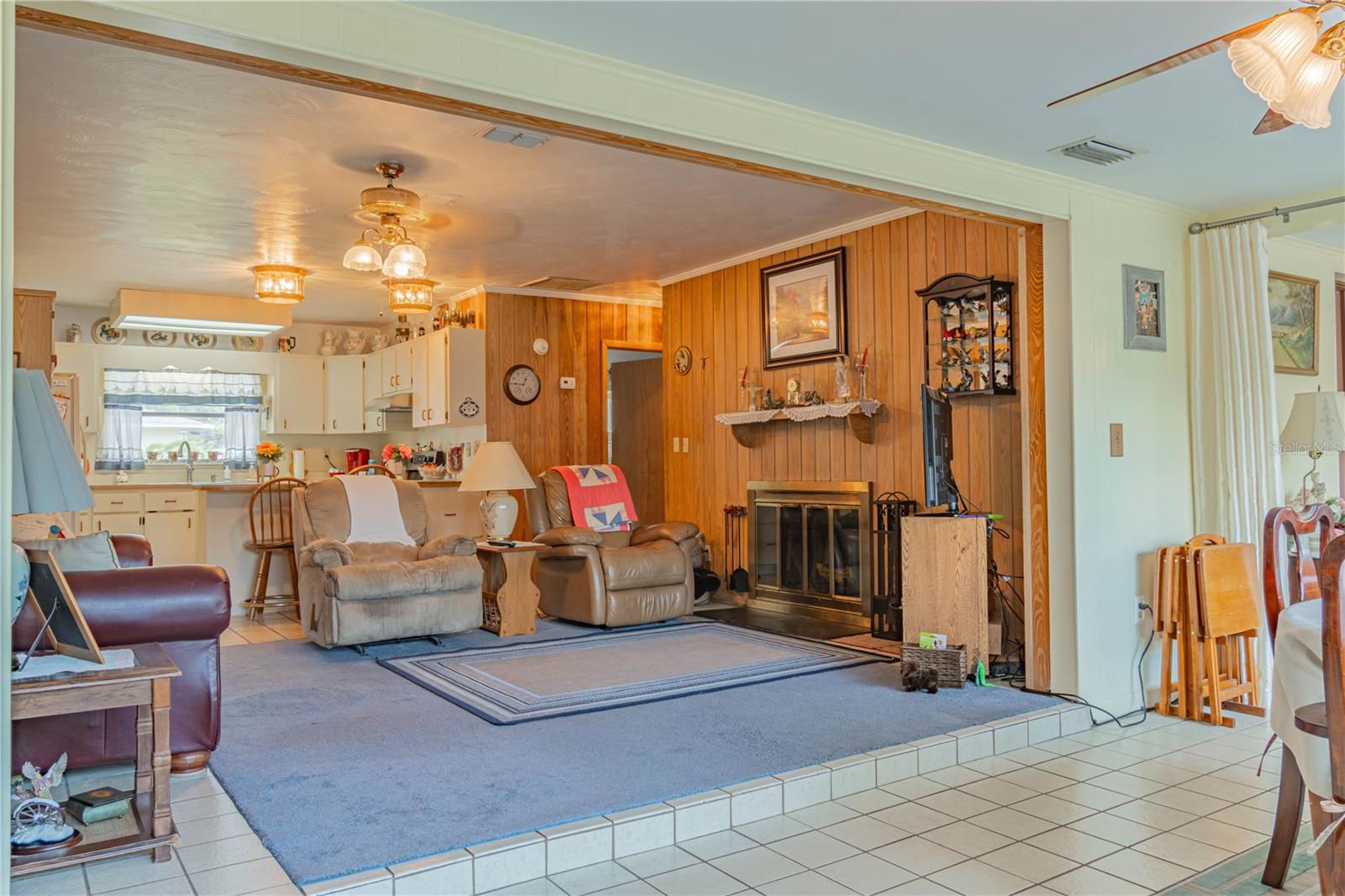 2529 CR 448, LAKE PANASOFFKEE, FL, 33538