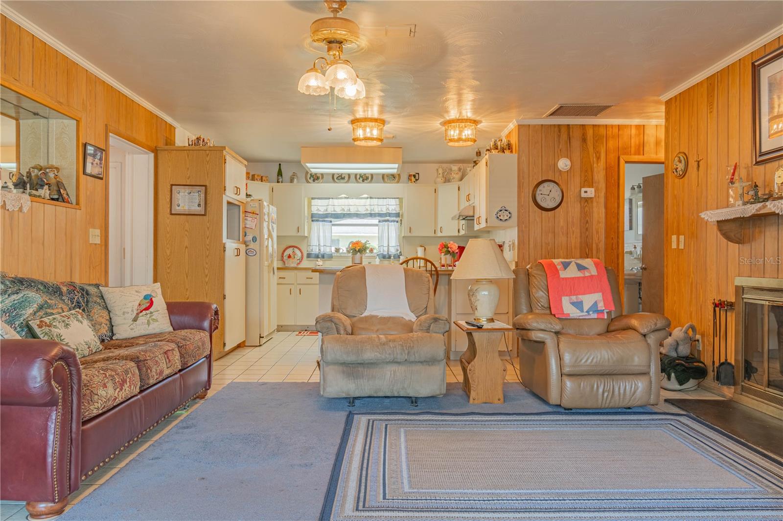 2529 CR 448, LAKE PANASOFFKEE, FL, 33538
