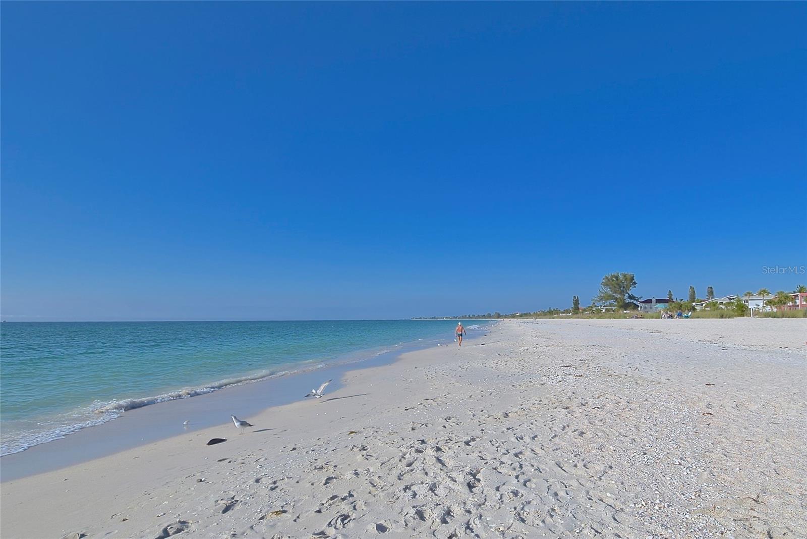 938 THE RIALTO, VENICE, FL, 34285