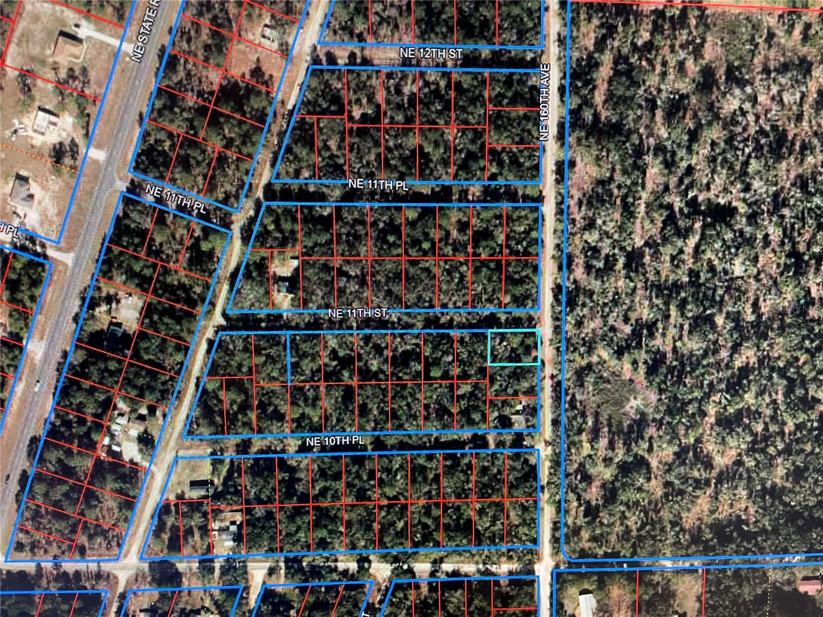 15990 NE 11TH ST, WILLISTON, FL, 32696