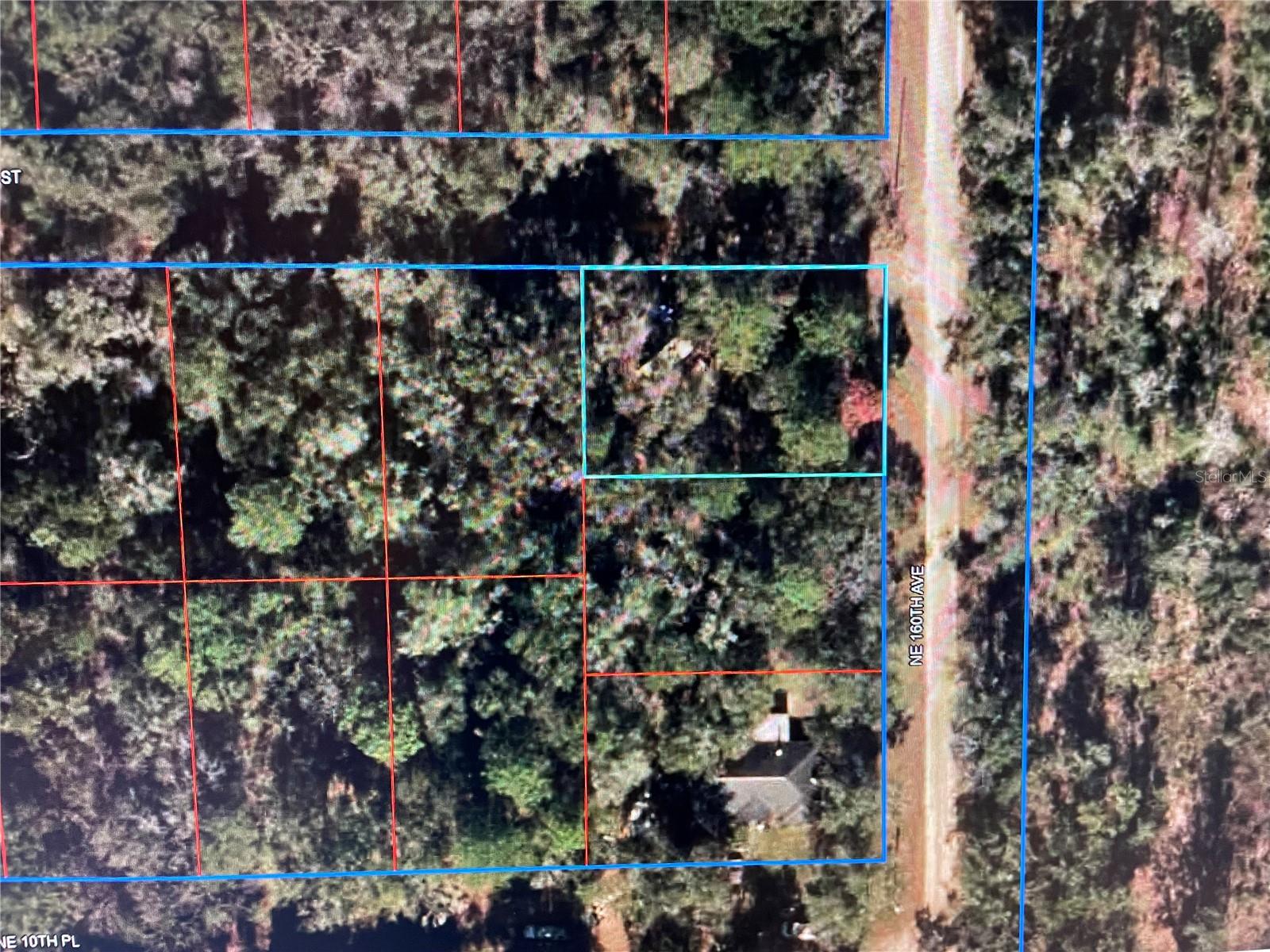 15990 NE 11TH ST, WILLISTON, FL, 32696