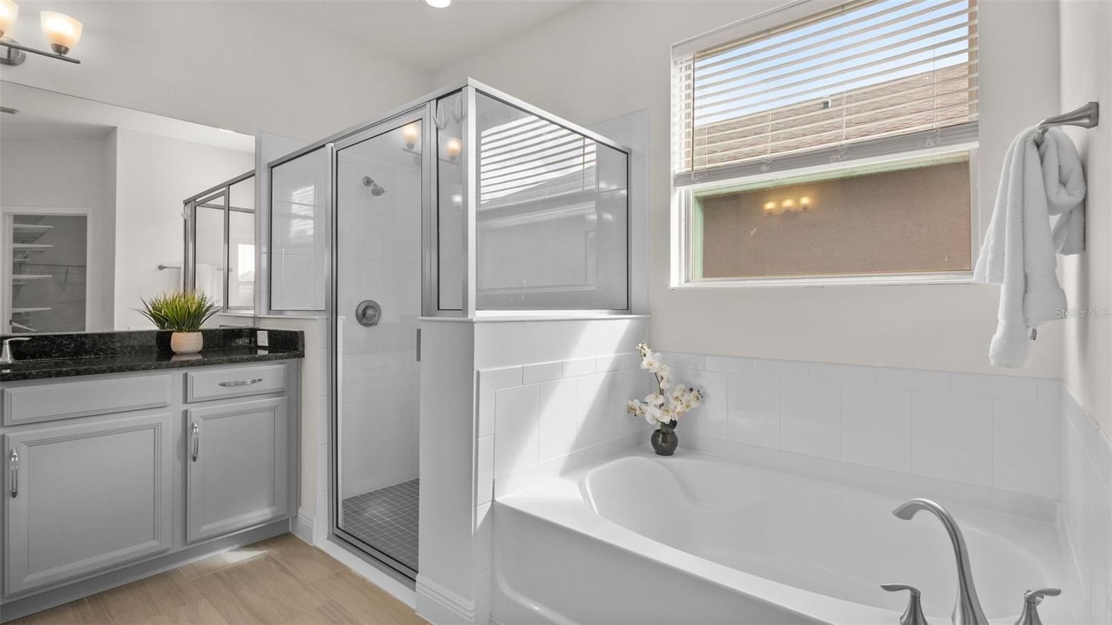 10133 MERRYMEETING BAY DR, WINTER GARDEN, FL, 34787