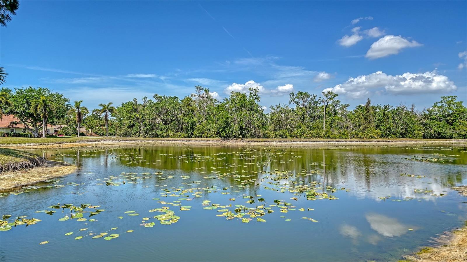 6105 WINCHESTER PL, SARASOTA, FL, 34243
