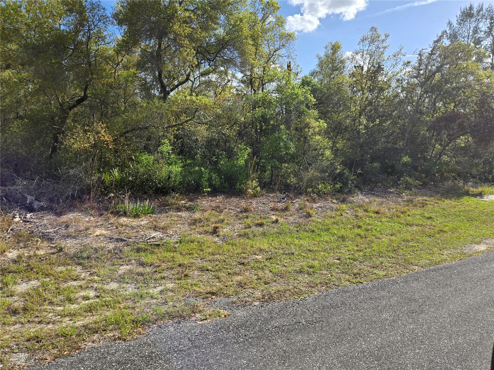 CR 245C, OXFORD, FL, 34484