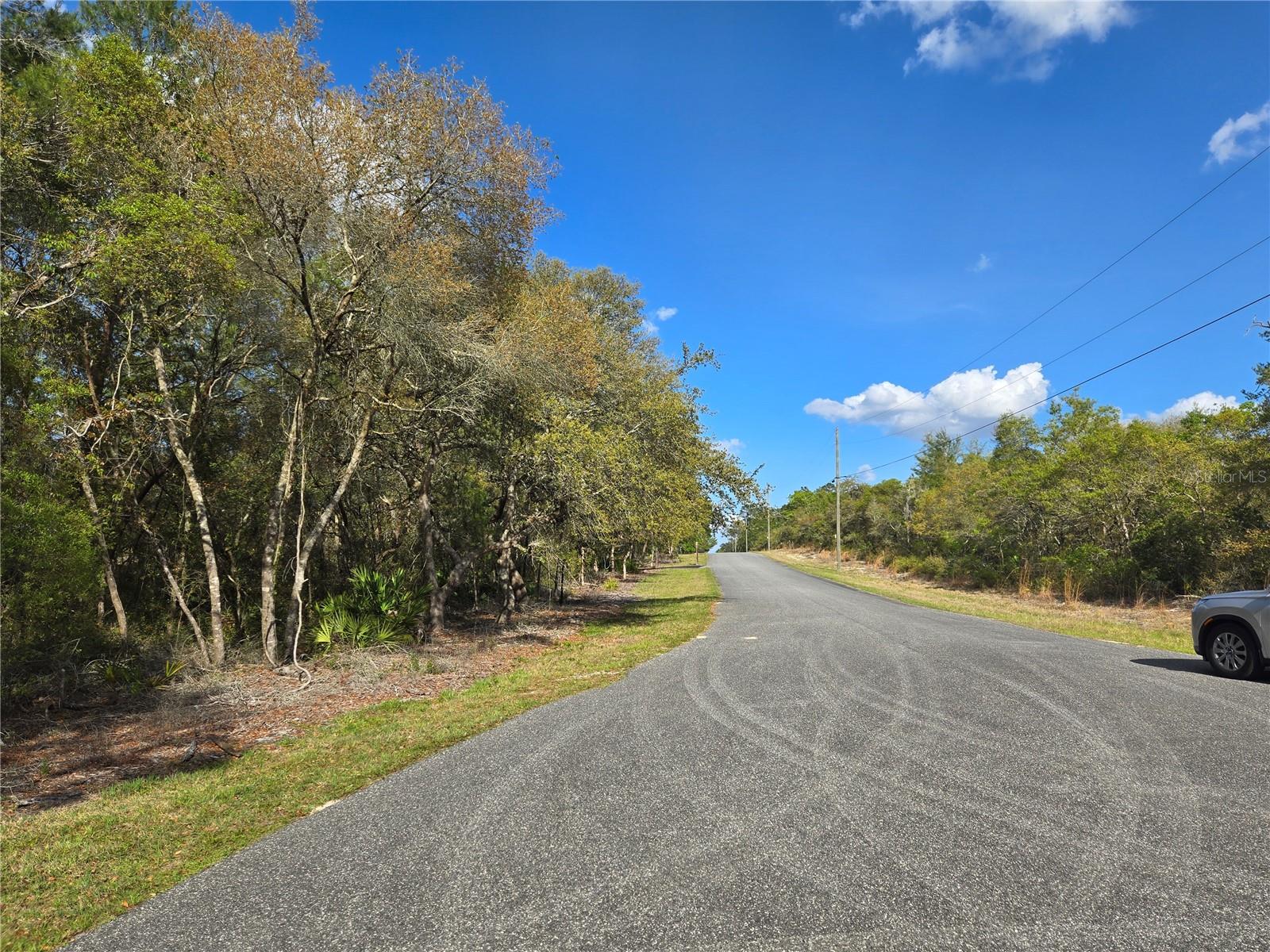 CR 245C, OXFORD, FL, 34484
