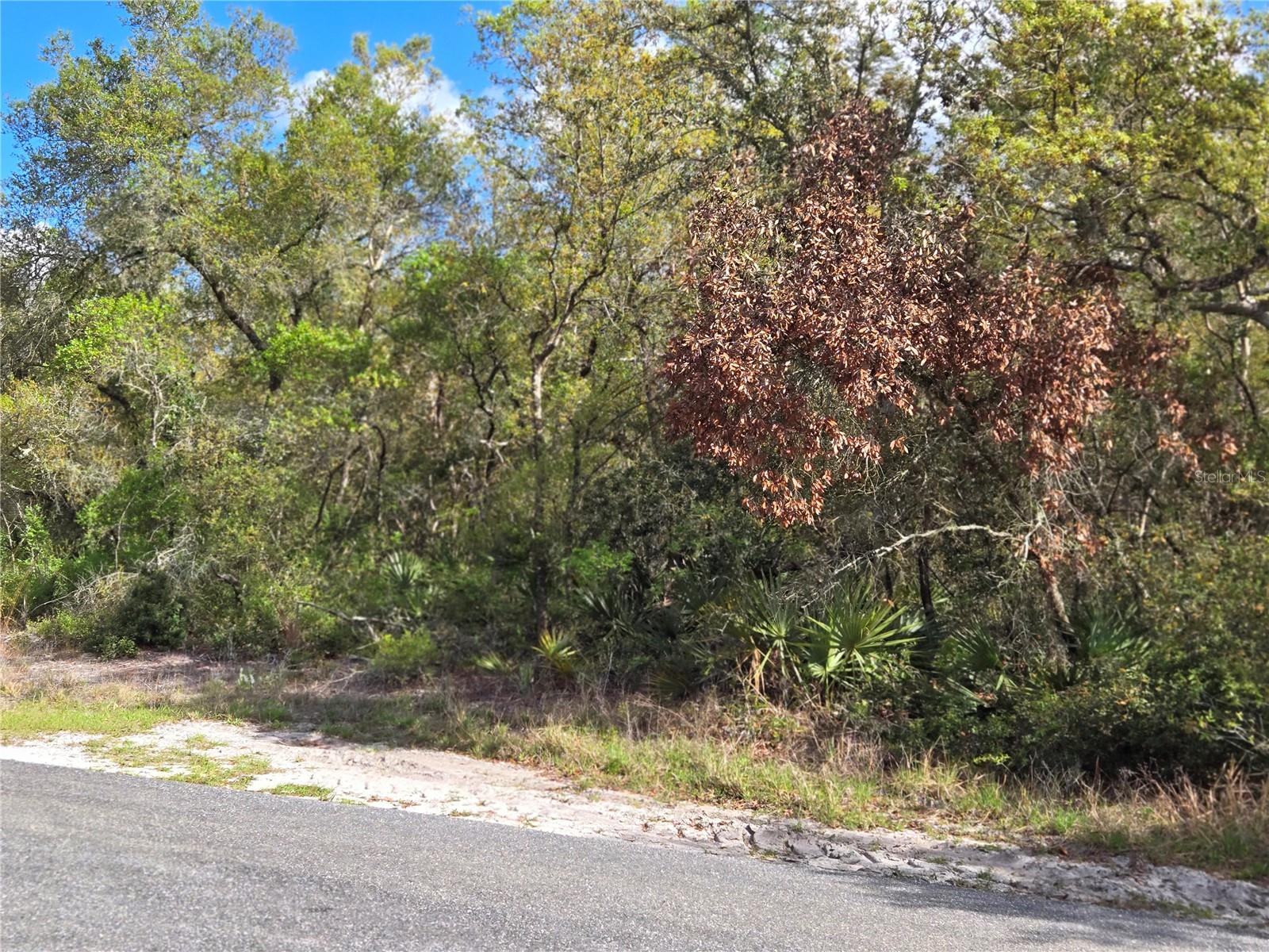 CR 245C, OXFORD, FL, 34484