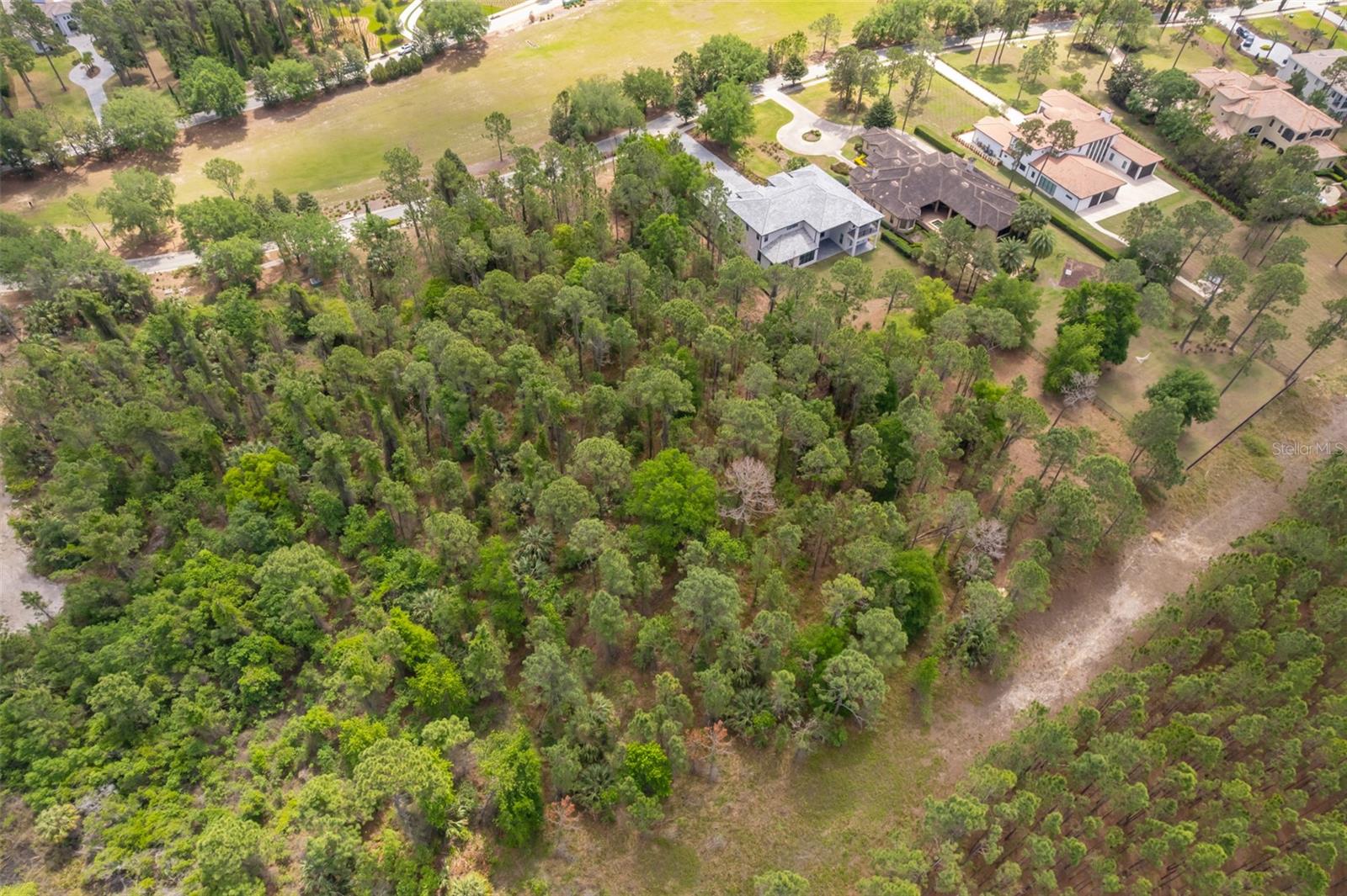 15902 PENDIO DR, BELLA COLLINA, FL, 34756