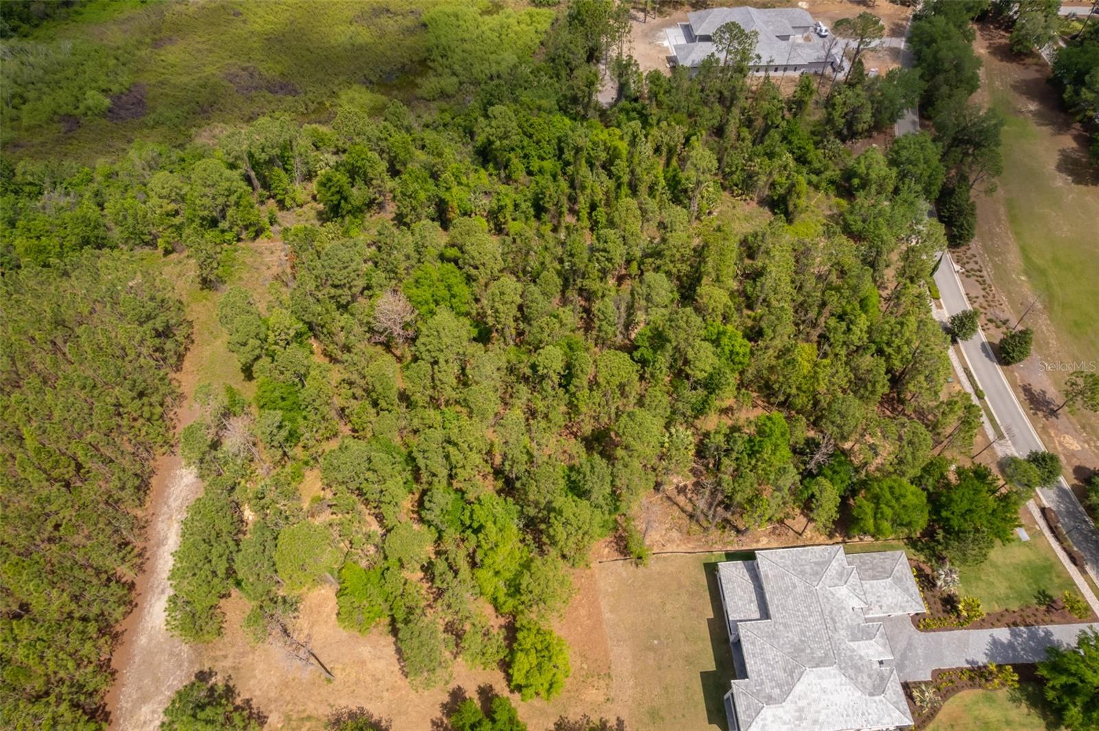 15902 PENDIO DR, BELLA COLLINA, FL, 34756