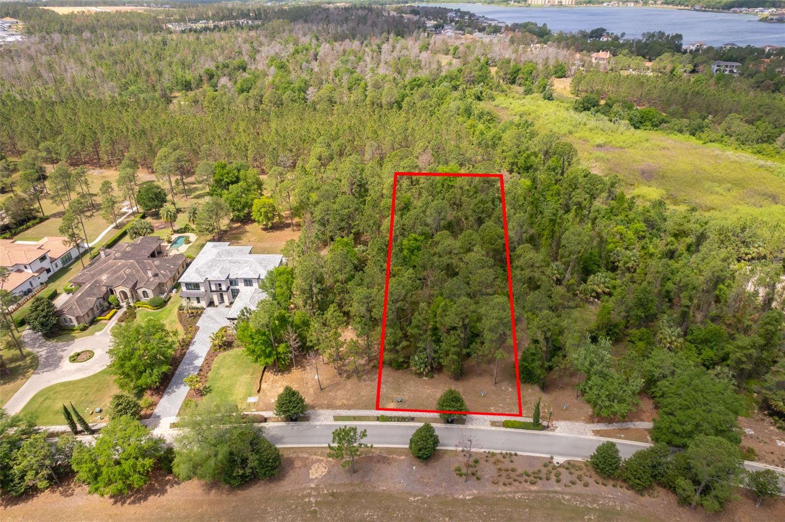 15902 PENDIO DR, BELLA COLLINA, FL, 34756