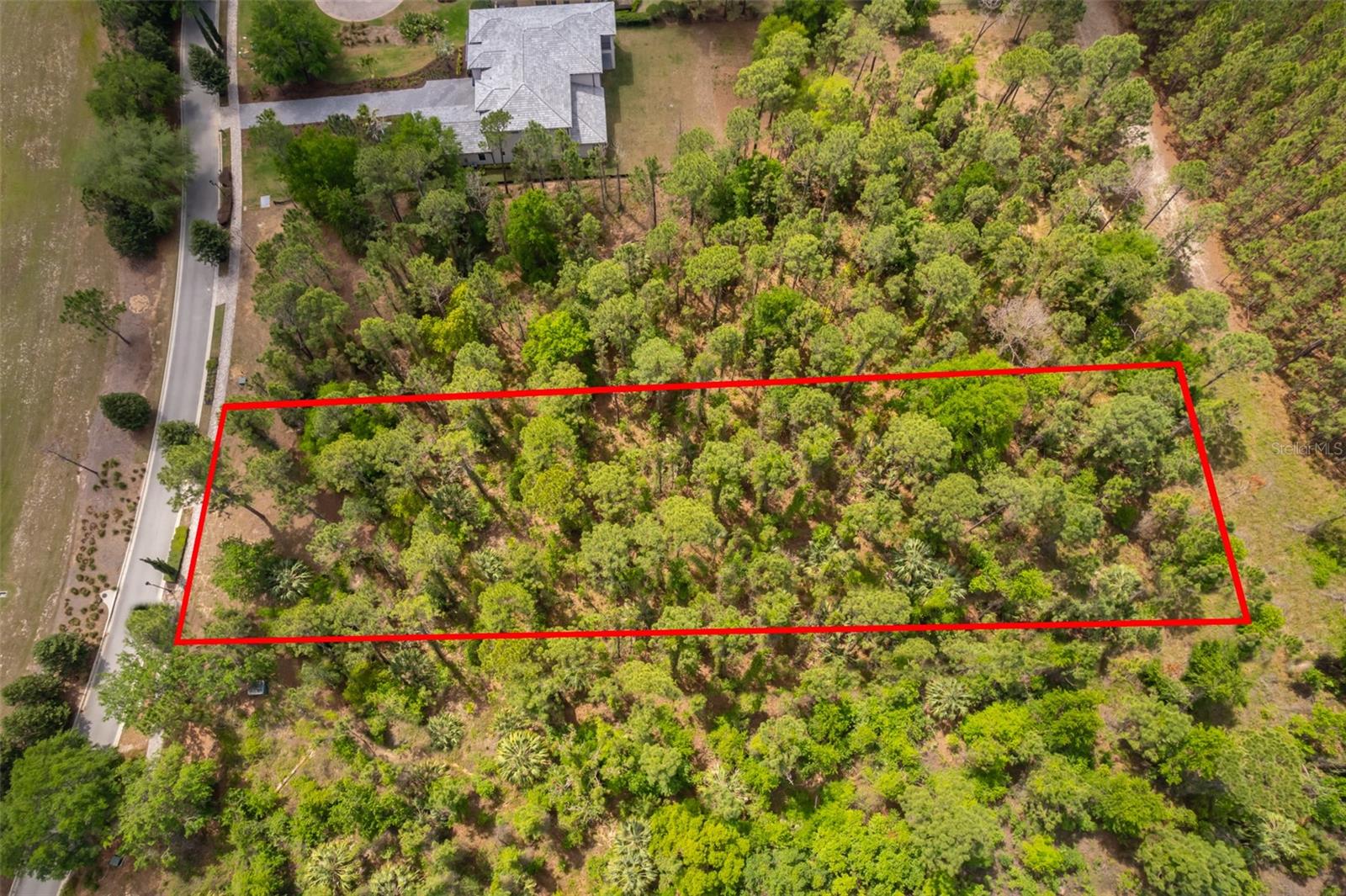 15902 PENDIO DR, BELLA COLLINA, FL, 34756