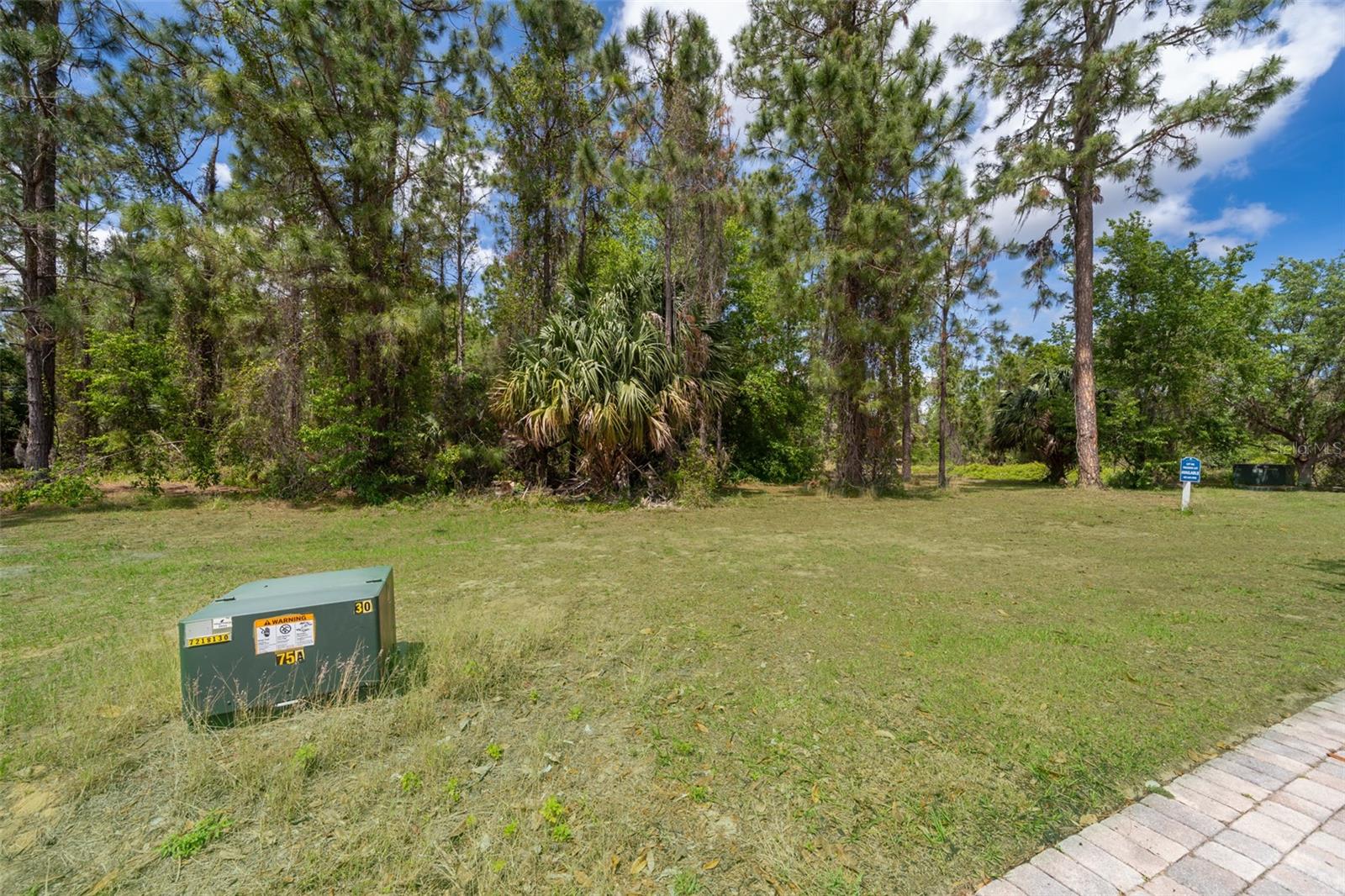 15902 PENDIO DR, BELLA COLLINA, FL, 34756