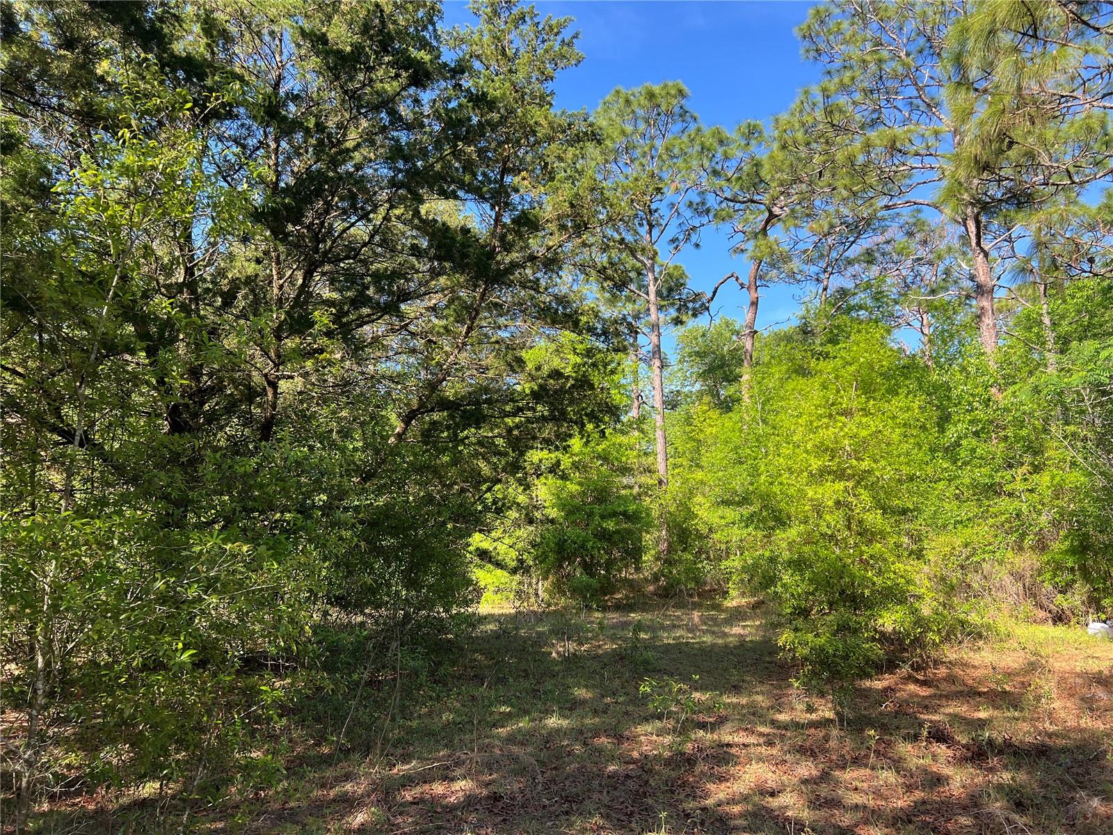 15475 SW 36TH ST, OCALA, FL, 34481
