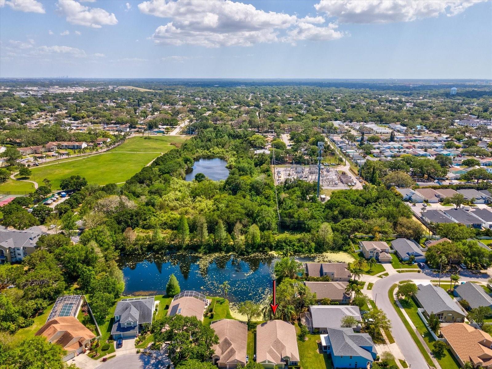 1211 PENNY CT, DUNEDIN, FL, 34698