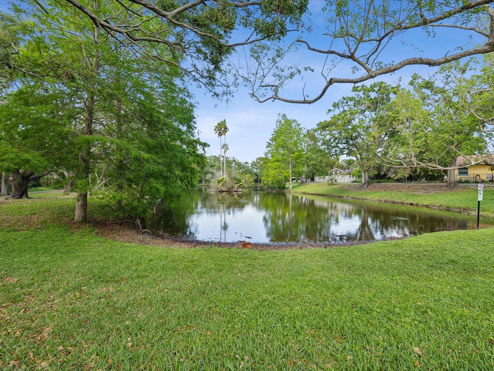 1211 PENNY CT, DUNEDIN, FL, 34698