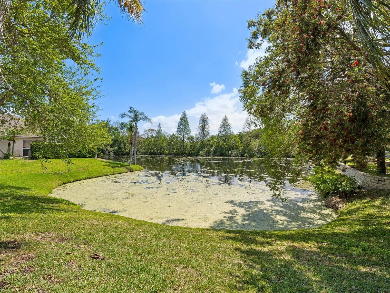1211 PENNY CT, DUNEDIN, FL, 34698