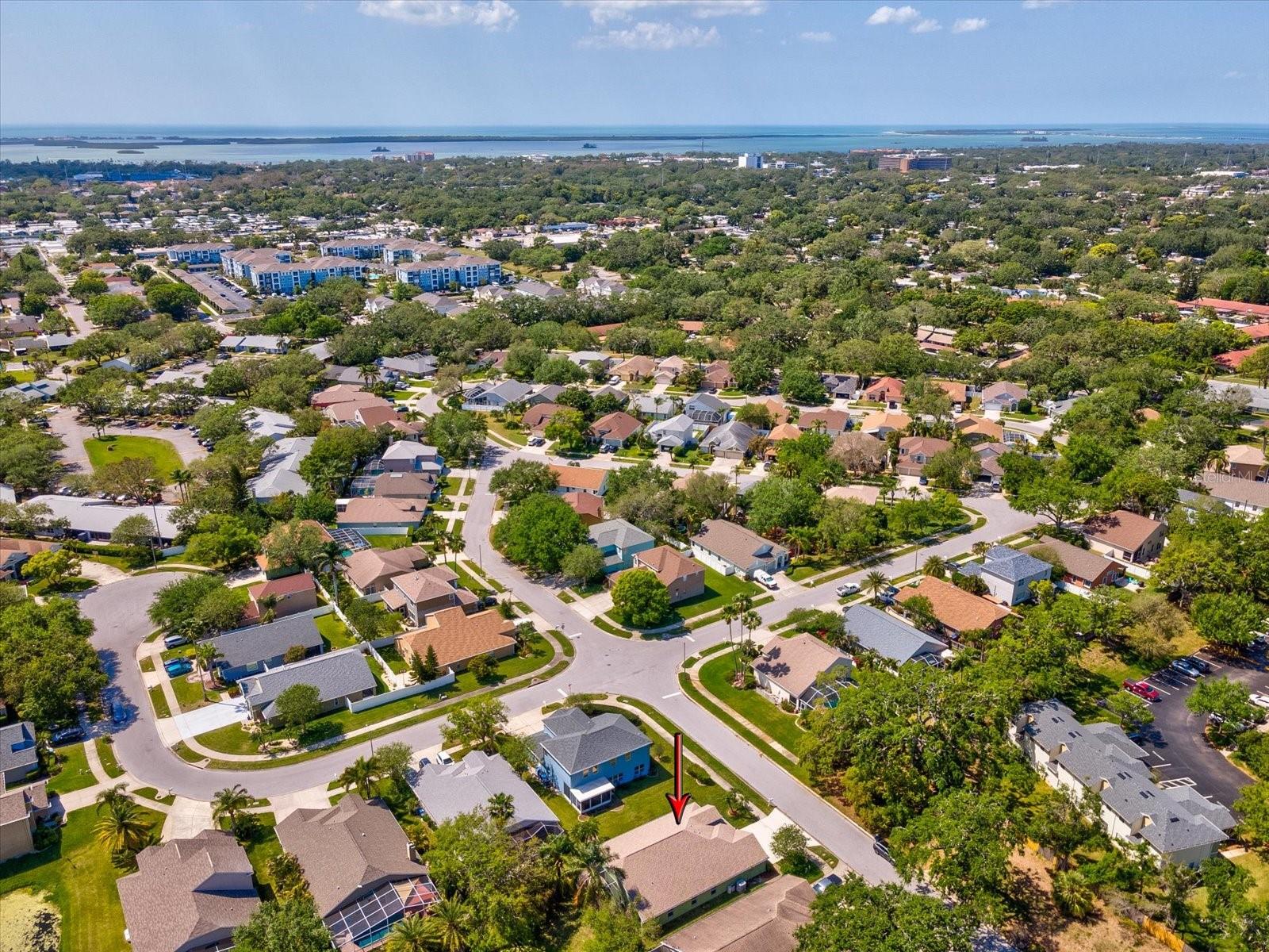 1211 PENNY CT, DUNEDIN, FL, 34698