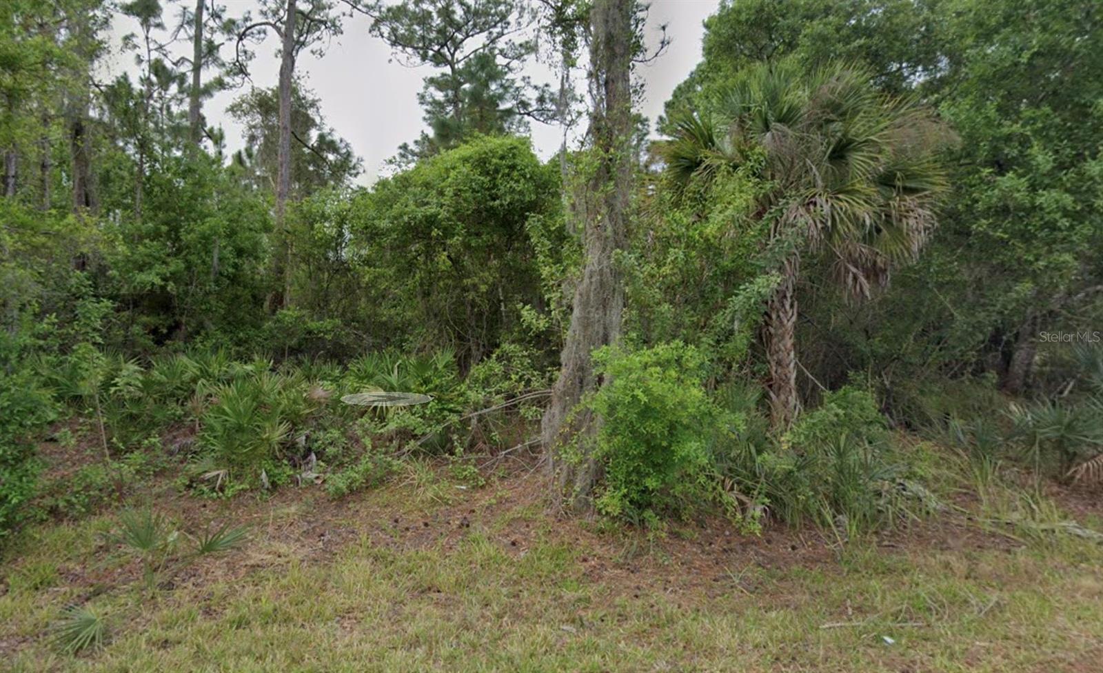 23477 ROSCOE AVE, PUNTA GORDA, FL, 33980
