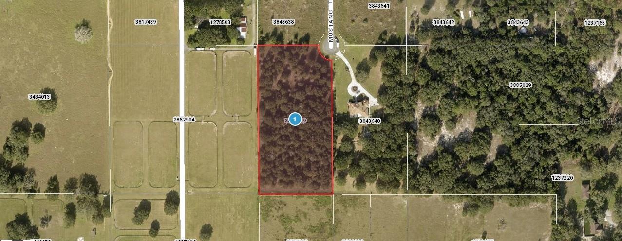 MUSTANG TRL ST, LADY LAKE, FL, 32159