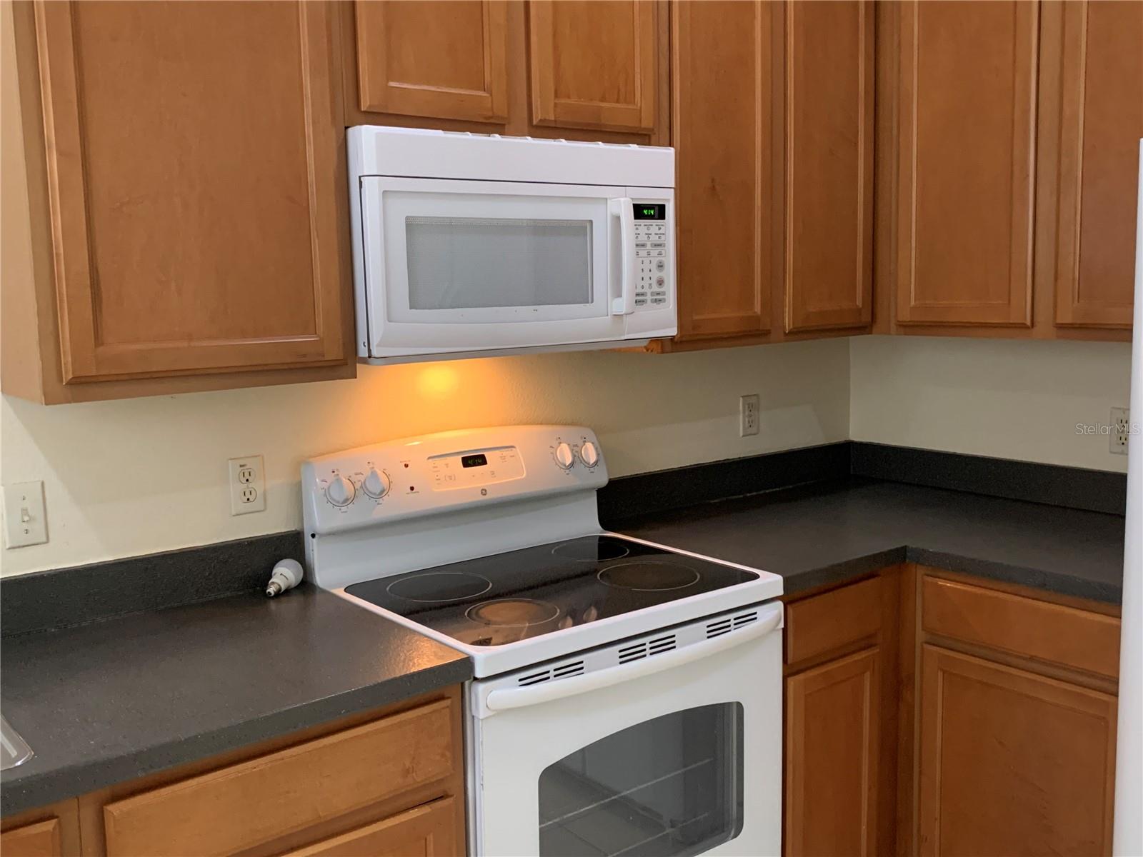 4216 AUSTEN FALLS LN, ORLANDO, FL, 32828