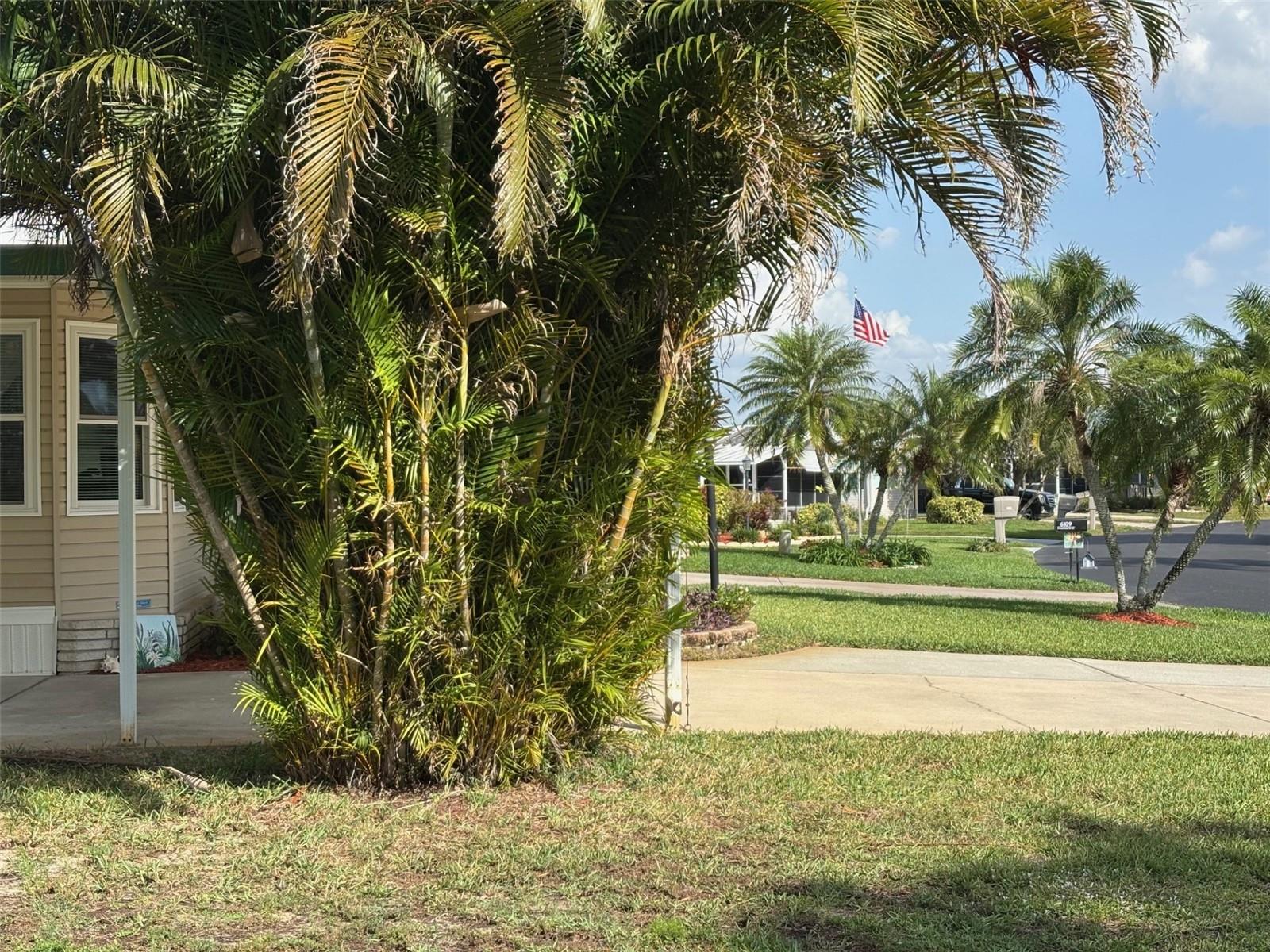 6107 GRAND OAKS DR SE, WINTER HAVEN, FL, 33884