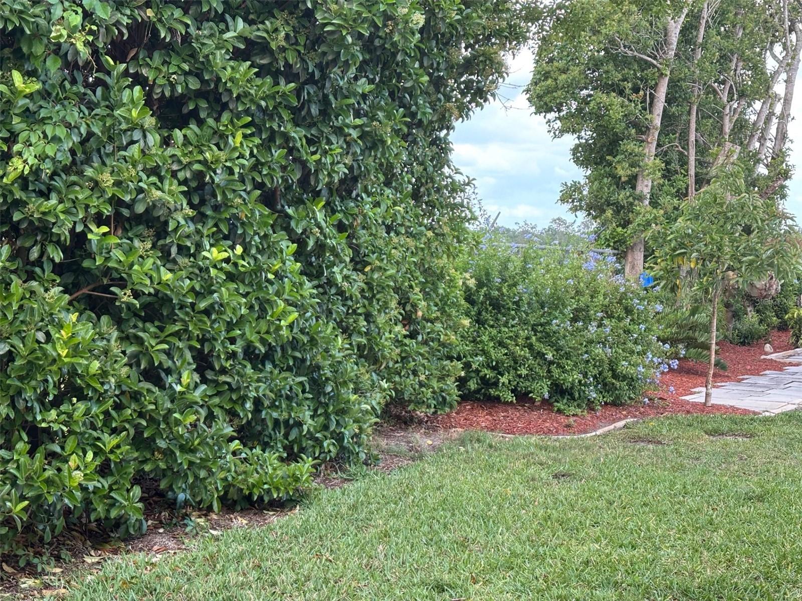 6107 GRAND OAKS DR SE, WINTER HAVEN, FL, 33884