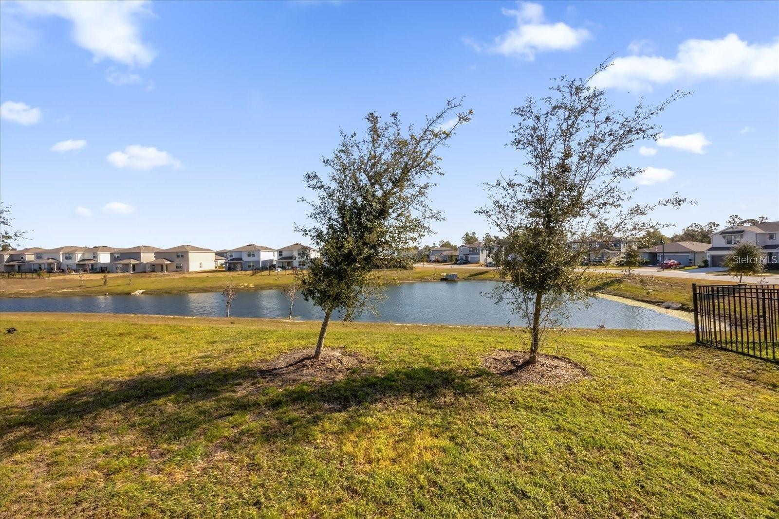 828 RIVERS CROSSING ST, CLERMONT, FL, 34714