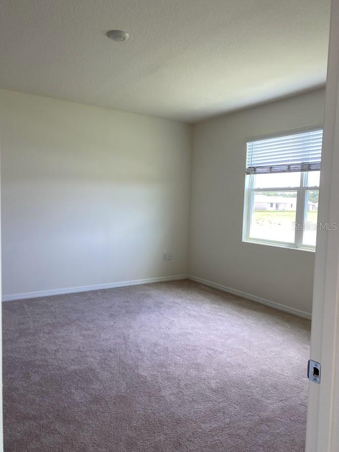 7937 WHEAT STONE DR, ZEPHYRHILLS, FL, 33540