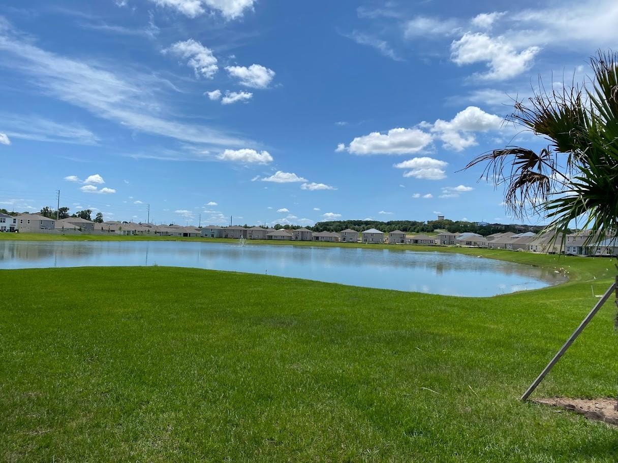 7937 WHEAT STONE DR, ZEPHYRHILLS, FL, 33540