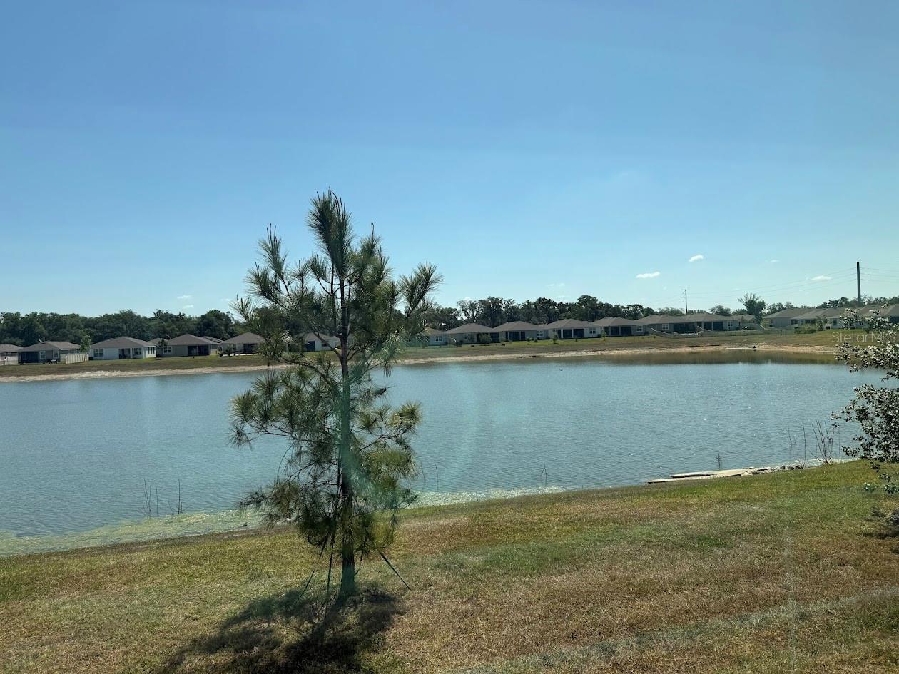 7937 WHEAT STONE DR, ZEPHYRHILLS, FL, 33540