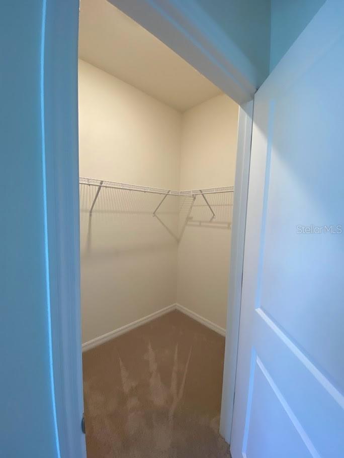 7937 WHEAT STONE DR, ZEPHYRHILLS, FL, 33540