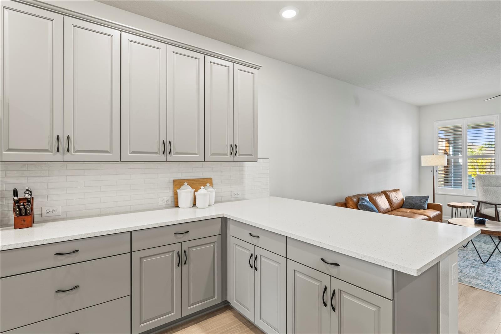 5914 HIDDEN BRANCH DR, APOLLO BEACH, FL, 33572