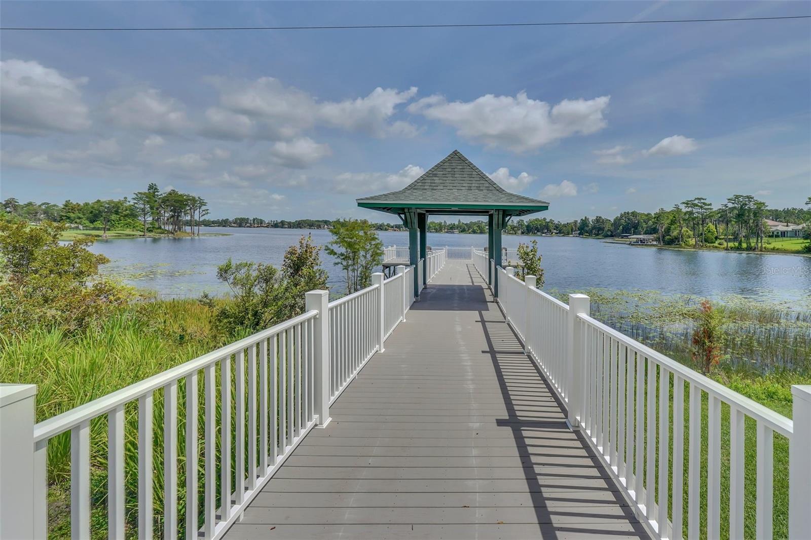 12614 HAWKSTONE DR, WINDERMERE, FL, 34786