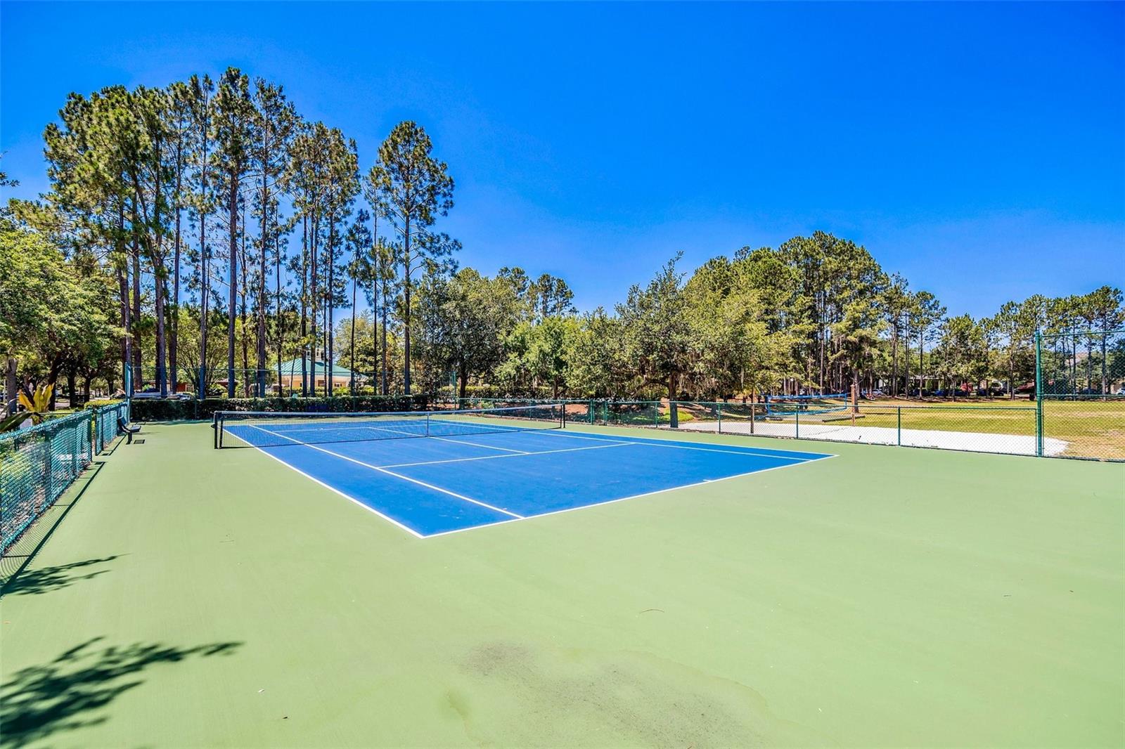 12614 HAWKSTONE DR, WINDERMERE, FL, 34786